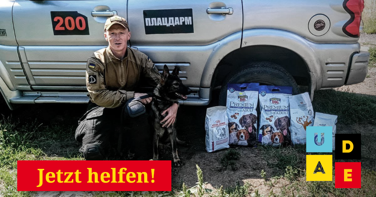 Neue Sammlung: Schutzausrüstung für einen Leichensuchhund